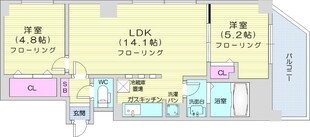 ビッグパレス中島公園の物件間取画像